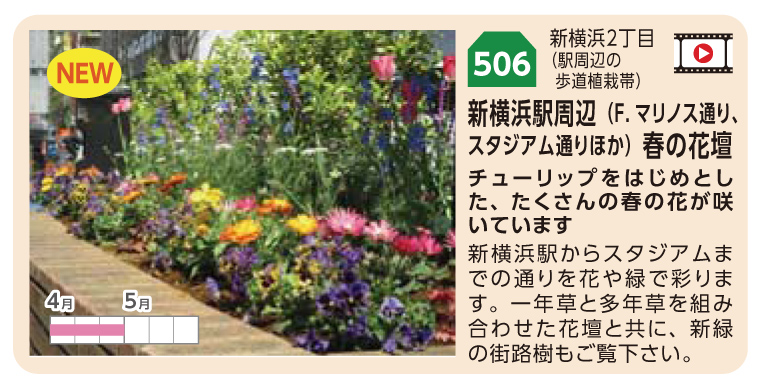 「港北オープンガーデン」に新横浜の多くの花壇が参加、街が賑わいそうです